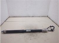 6891042060 Амортизатор крышки багажника Toyota RAV 4 2018- 8853910 #6