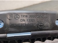  Подушка безопасности боковая (шторка) Mercedes C W203 2000-2007 8859499 #2
