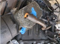 0135KW Двигатель (ДВС) Citroen Berlingo 2002-2008 8868592 #5