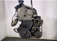  Двигатель (ДВС) Renault Megane 2 2002-2009 8878977 #1