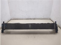 6R0145805 Радиатор интеркулера Skoda Rapid 8894209 #4