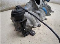 03G129711G Коллектор впускной Audi A6 (C6) 2004-2011 8901244 #4