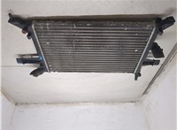 1300382, 95520913 Радиатор охлаждения двигателя Opel Astra G 1998-2005 8906020 #2