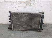  Радиатор охлаждения двигателя Ford Escort 1995-2001 8930788 #4