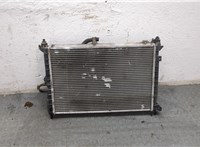  Радиатор охлаждения двигателя Opel Astra F 1991-1998 8950230 #1