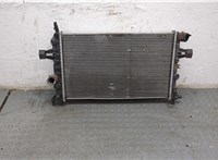  Радиатор охлаждения двигателя Opel Zafira A 1999-2005 8950325 #1
