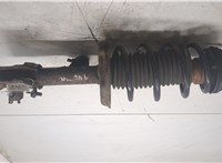 344617, 95507190 Амортизатор подвески Opel Corsa D 2006-2014 8957675 #6