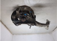 4355050040, 4320159045 Ступица (кулак, цапфа) Lexus LS460 2006-2012 8969541 #5