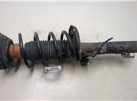 6Q0413031BM Амортизатор подвески Volkswagen Lupo 8977202 #5