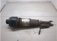 A2193201113, A2193201213 Амортизатор подвески Mercedes CLS C219 2004-2010 8984649 #5