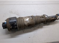 A2193201113, A2193201213 Амортизатор подвески Mercedes CLS C219 2004-2010 8984653 #6