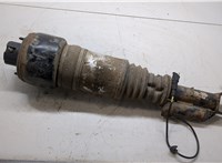 A2193201113, A2193201213 Амортизатор подвески Mercedes CLS C219 2004-2010 8984653 #8