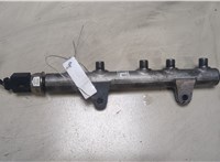  Рампа (рейка) топливная Hyundai H-1 Starex 2007-2015 8992450 #1