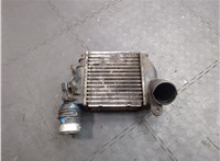 1J0145803N Радиатор интеркулера Volkswagen Golf 4 1997-2005 8997621 #5