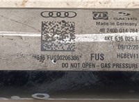 4KE616025E Амортизатор подвески Audi e-tron 9004392 #4