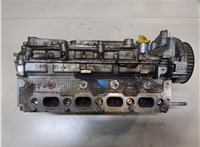 8200145259F Головка блока (ГБЦ) Renault Scenic 2003-2009 9007517 #6