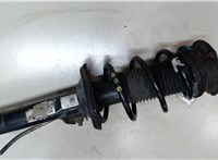 5QF412021PM Амортизатор подвески Volkswagen Tiguan 2016-2020 9011339 #5