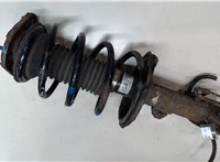 4851009A70, 4813102830 Амортизатор подвески Toyota Corolla E12 2001-2006 9012720 #5