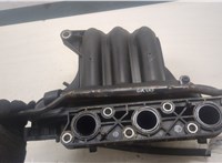 03D129766L Коллектор впускной Volkswagen Polo 2005-2009 9013111 #3