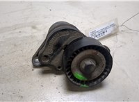 8200941079 Натяжитель приводного ремня Nissan Qashqai 2006-2013 9024030 #2