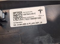 159764300C Пластик (обшивка) салона Tesla Model 3 9026415 #3