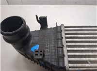 14461AW300 Радиатор интеркулера Nissan Primera P12 2002-2007 9027314 #5