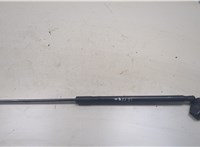 6895002190 Амортизатор крышки багажника Toyota Corolla E210 2018- 9033033 #1