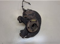  Ступица (кулак, цапфа) Seat Ibiza 3 2001-2006 9039671 #1