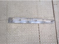  Молдинг двери Renault Scenic 1996-2002 9040197 #2