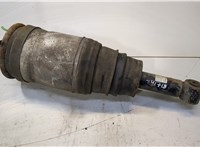 22214642 Амортизатор подвески Land Rover Discovery 3 2004-2009 9046507 #1