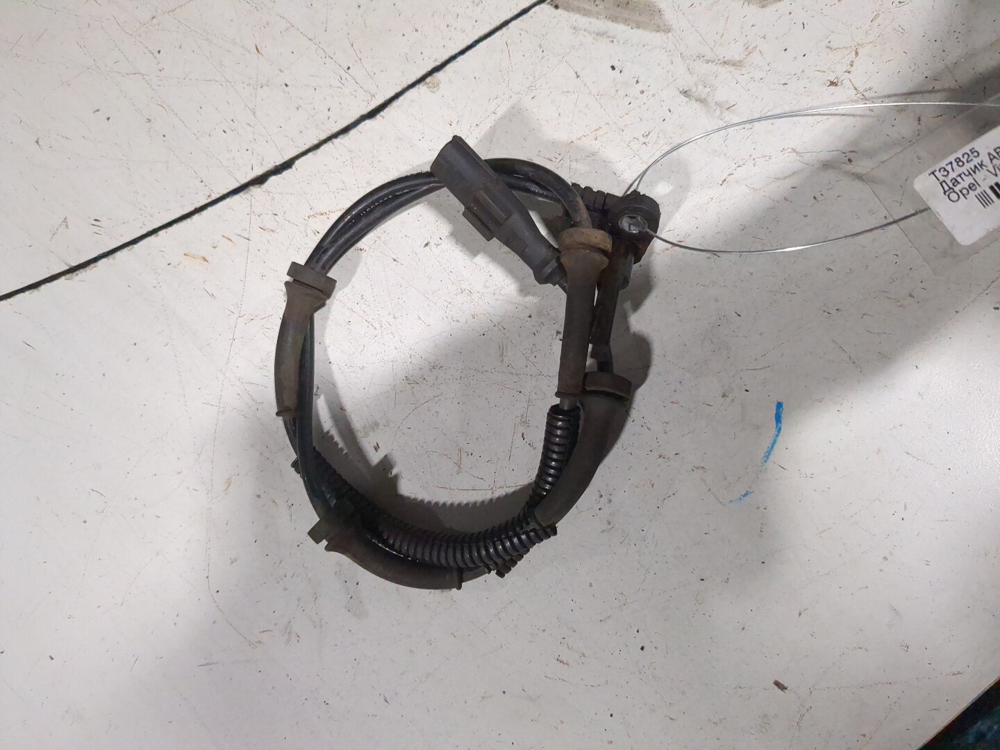 Датчик ABS передний