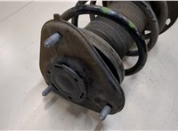  Амортизатор подвески Toyota C-HR 9051662 #2