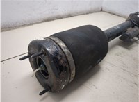 A1643205813 Амортизатор подвески Mercedes ML W164 2005-2011 9057295 #5