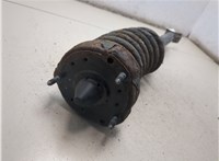 A2113239200, A2113211304 Амортизатор подвески Mercedes E W211 2002-2009 9058673 #6