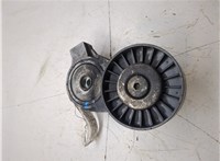 4898755 Натяжитель приводного ремня Saab 9-5 2005-2010 9063647 #5