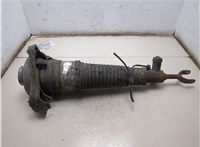 4F0616040R Амортизатор подвески Audi A6 (C6) Allroad 2006-2011 9069560 #5