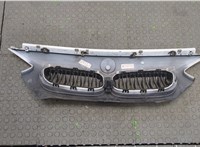  Решетка радиатора BMW 1 F20, F21 2011-2019 9070376 #8