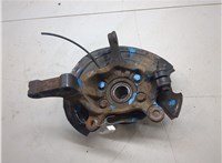 400141KK0A, 40202BA60A Ступица (кулак, цапфа) Nissan Leaf 2010-2017 9071456 #6