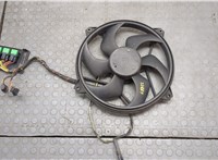  Вентилятор радиатора Citroen Xsara-Picasso 9075020 #1