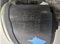 812200D041 Фара противотуманная (галогенка) Toyota Avensis 2 2003-2008 9080403 #3