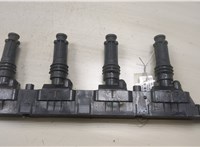 1208020, 24420584, 93177212 Катушка зажигания Opel Astra H 2004-2010 9088636 #1