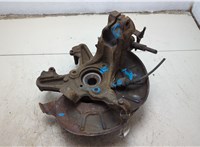 1K0407256T, 1K0498621 Ступица (кулак, цапфа) Skoda Yeti 2009-2018 9089606 #11