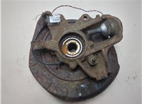 A1643501408, A1643560201 Ступица (кулак, цапфа) Mercedes ML W164 2005-2011 9094792 #5