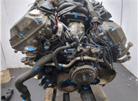 11007503393 Двигатель (ДВС) BMW X5 E53 2000-2006 9095619 #7