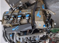 11007503393 Двигатель (ДВС) BMW X5 E53 2000-2006 9095619 #9
