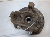 432024X00A, 43019EB300 Ступица (кулак, цапфа) Nissan Pathfinder 2004-2014 9096880 #1