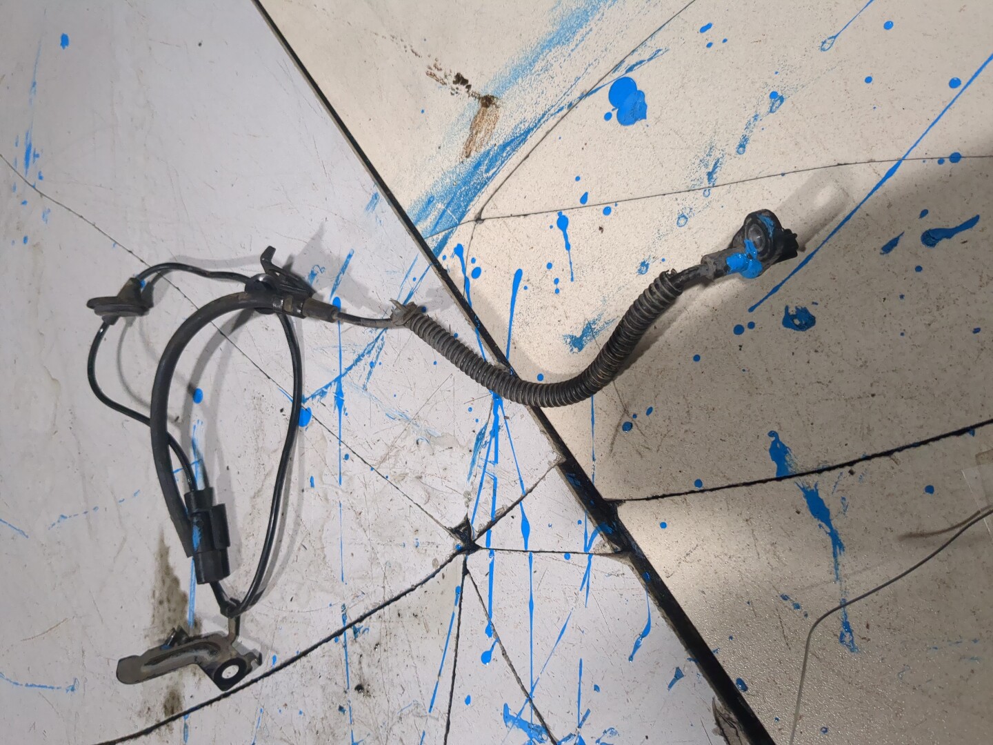 Датчик ABS задний