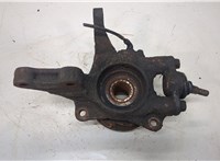  Ступица (кулак, цапфа) Hyundai Tucson 1 2004-2009 9098411 #1