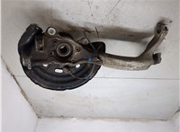 4E0407253Q, 4E0407613C Ступица (кулак, цапфа) Audi A8 (D3) 2002-2010 9099303 #7