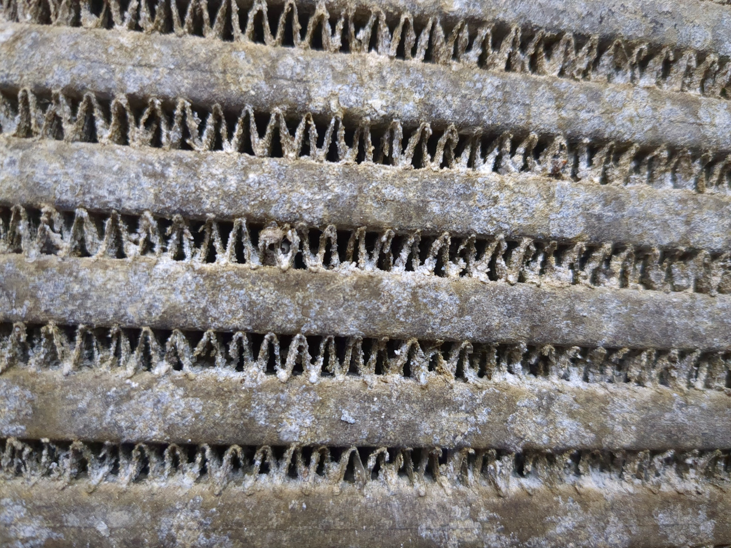 Интеркулер